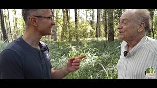 Vignette de la vidéo Lu Picatau, la peupleraie à restaurer